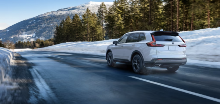 Winter Tire vs. All-Season Tires: Unraveling the Differences and a Seasonal Storage Bonus Just for You